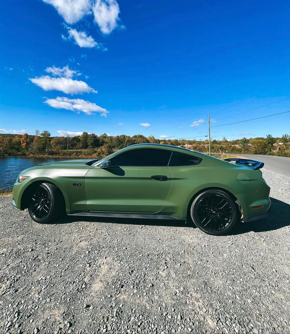 Green Ford Mustang by a lake
